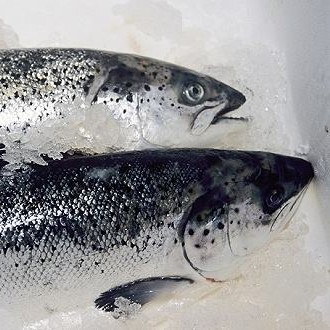 新發地三文魚案板檢測出新冠病毒,,北京多家超市連夜下架三文魚,北京新增三個病例